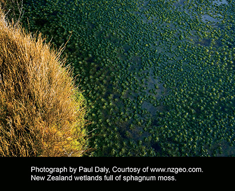 Peat moss to lower PH